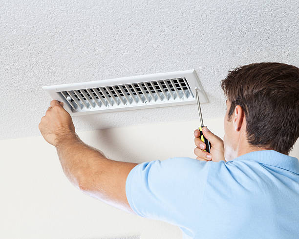Environmental Consulting for Mold Prevention in Elkins, WV